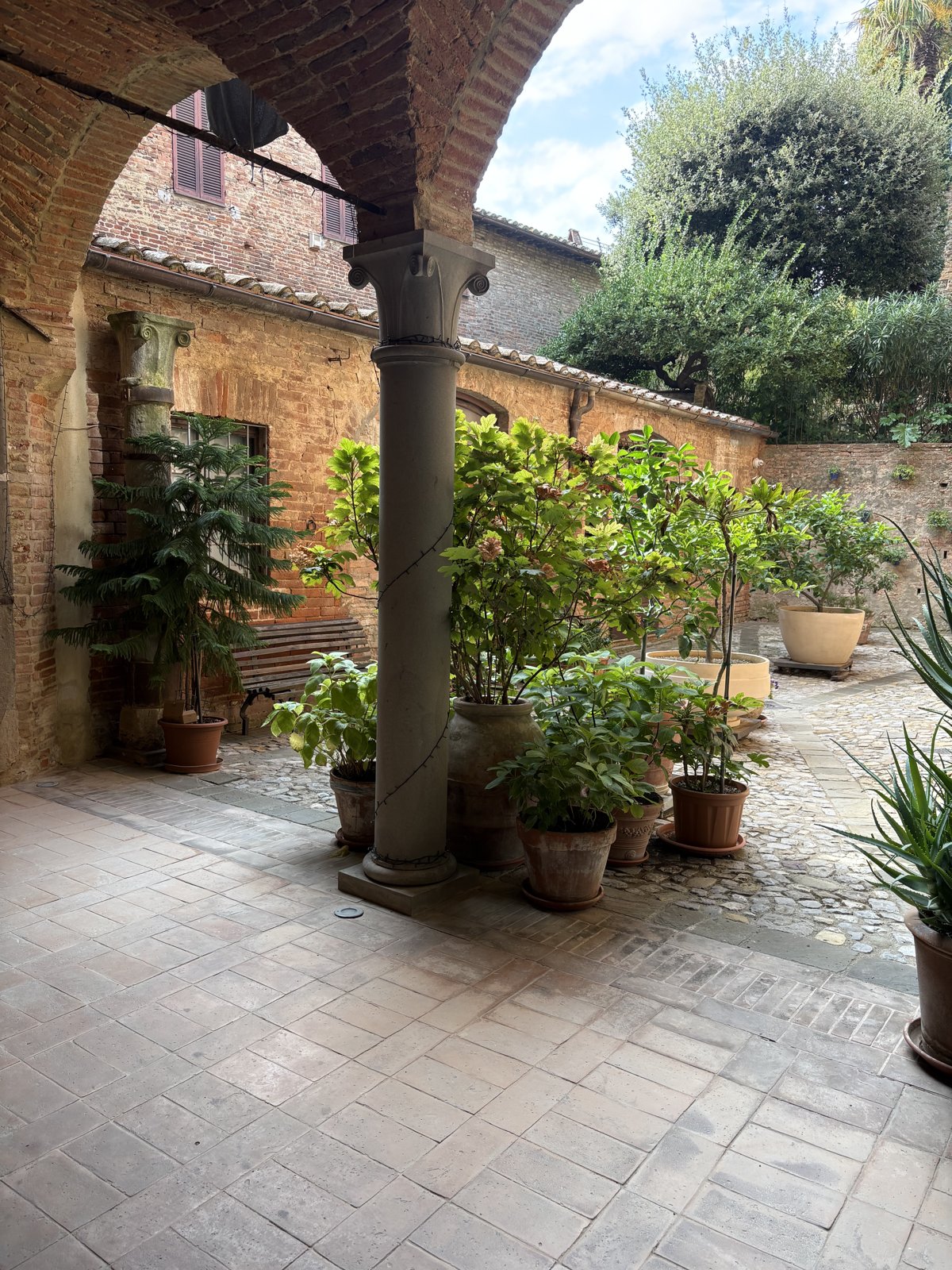 The portico on the courtyard today, with the column, the new paving, the potted plants and, on the left, the old column that has been kept