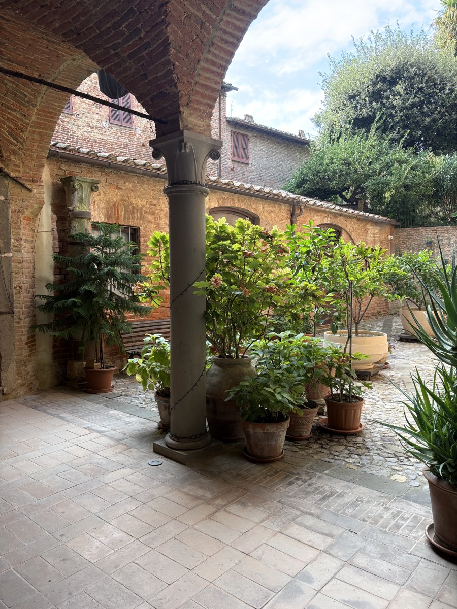 The portico of Palazzo Bandini with the stone column, the courtyard and the plants
