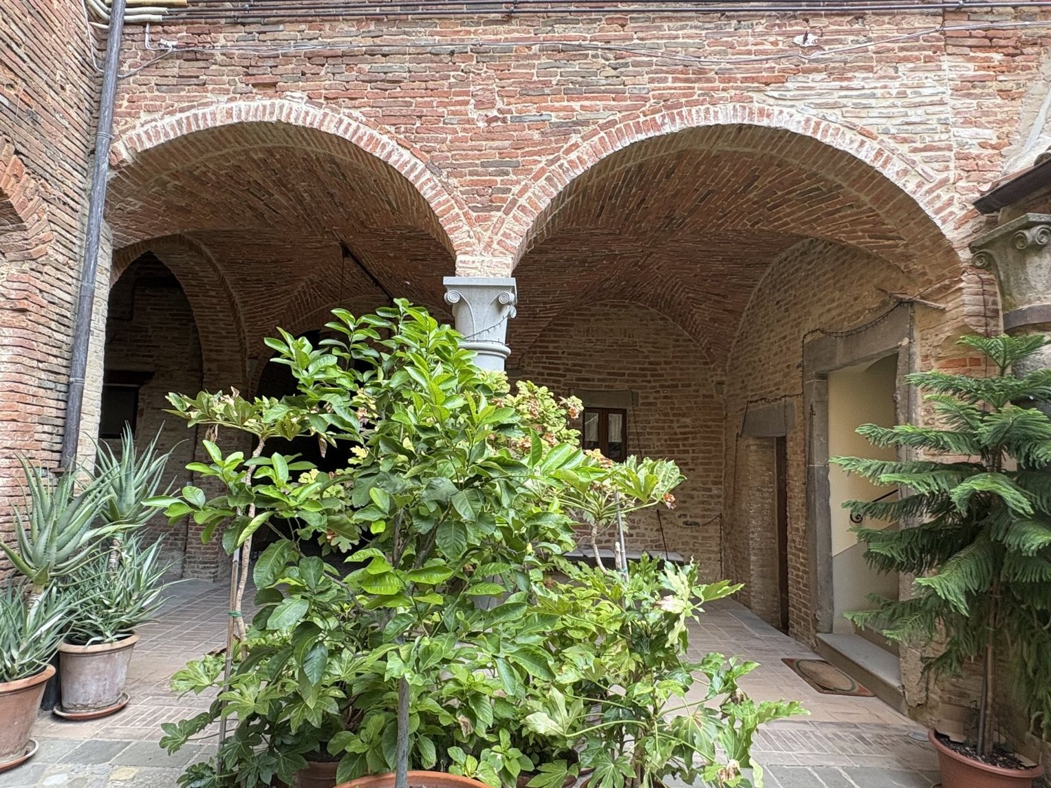 The loggia today, with the brick vaults, the column and the plants in the courtyard