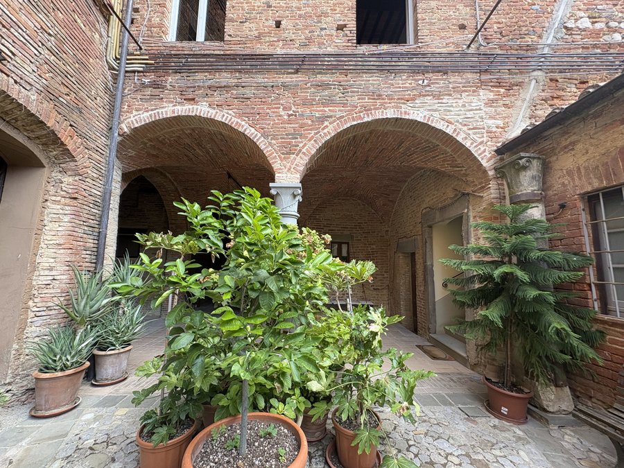 The two-arched loggia on the courtyard, with the column and the plants