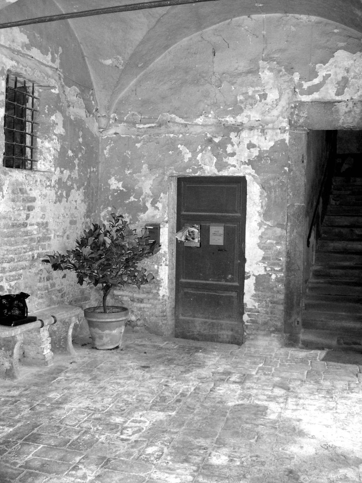 The wooden door and the staircase before the works, with the plaster flaking off
