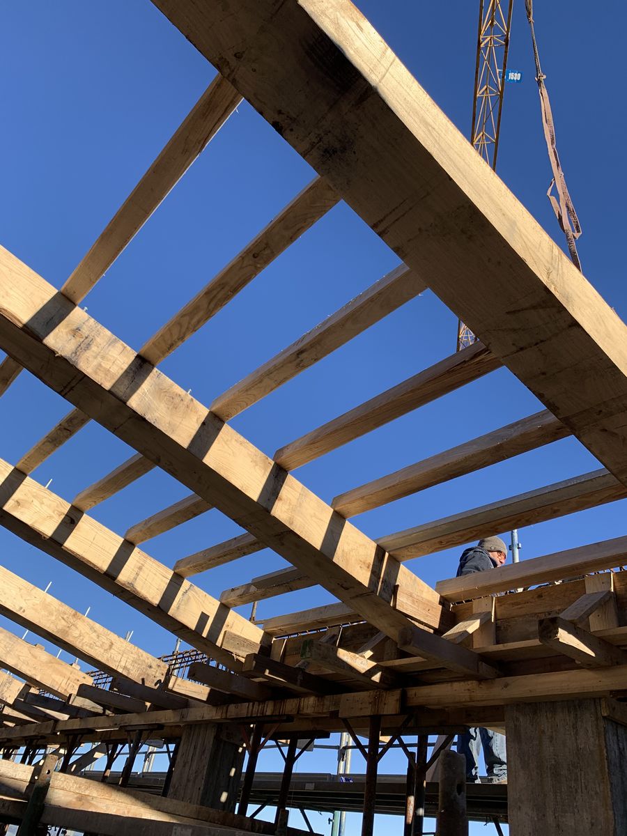 Roof structure of new timber beams, seen from below against the sky