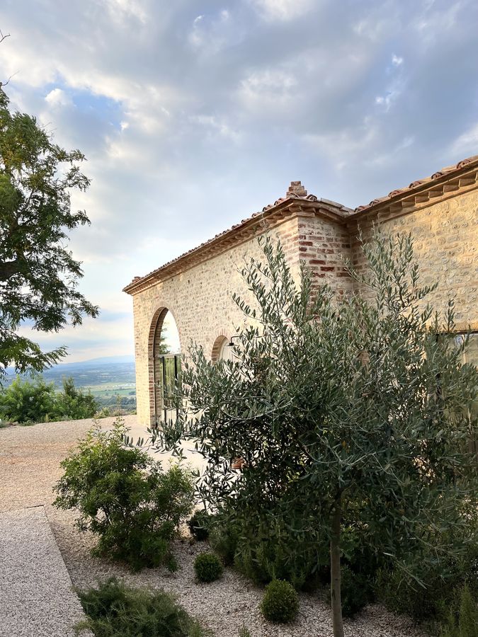 The restored old brick stable, with the arch and an olive tree