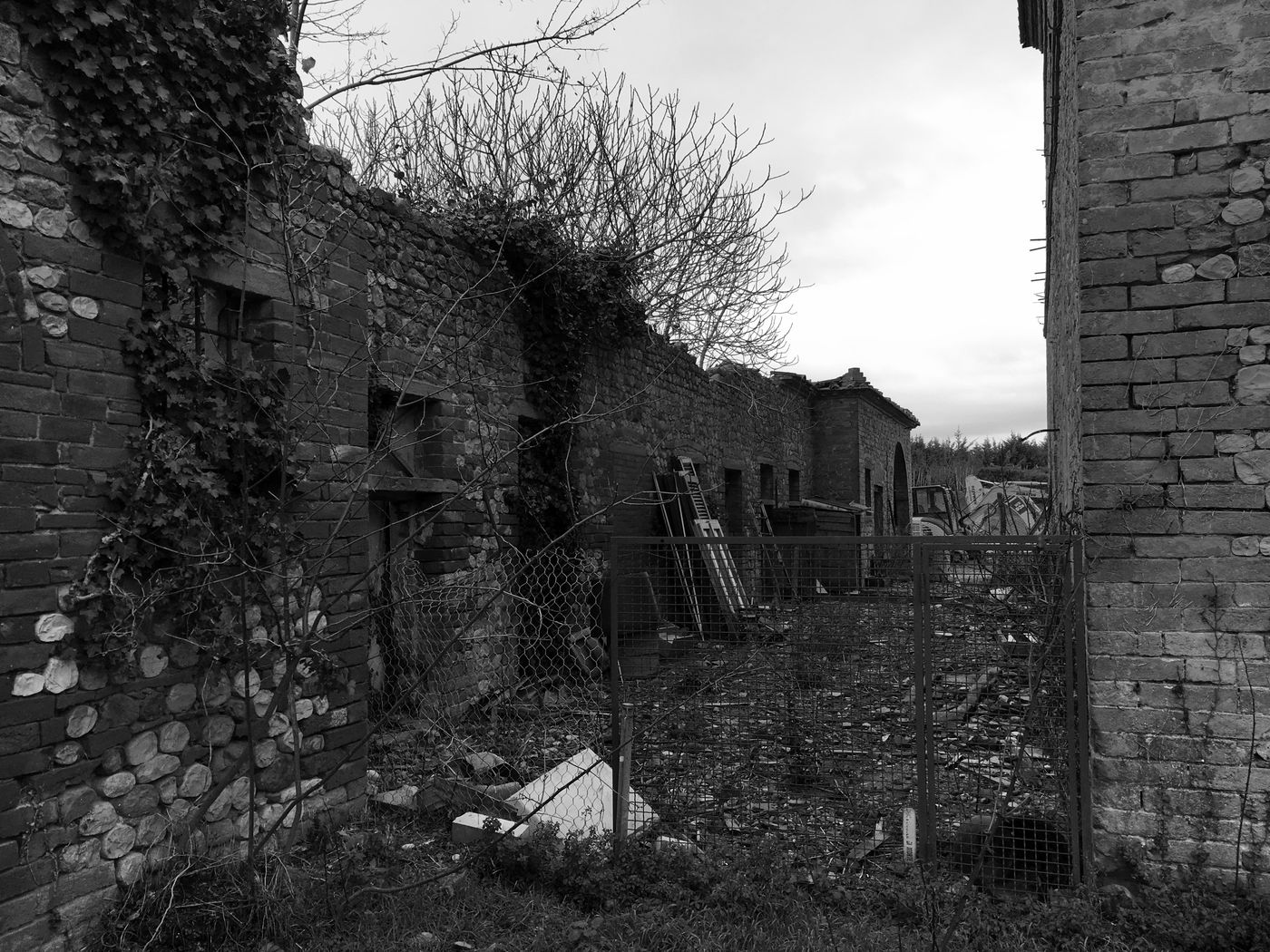 The ruined outbuildings along the boundary wall, with ivy and a wooden door