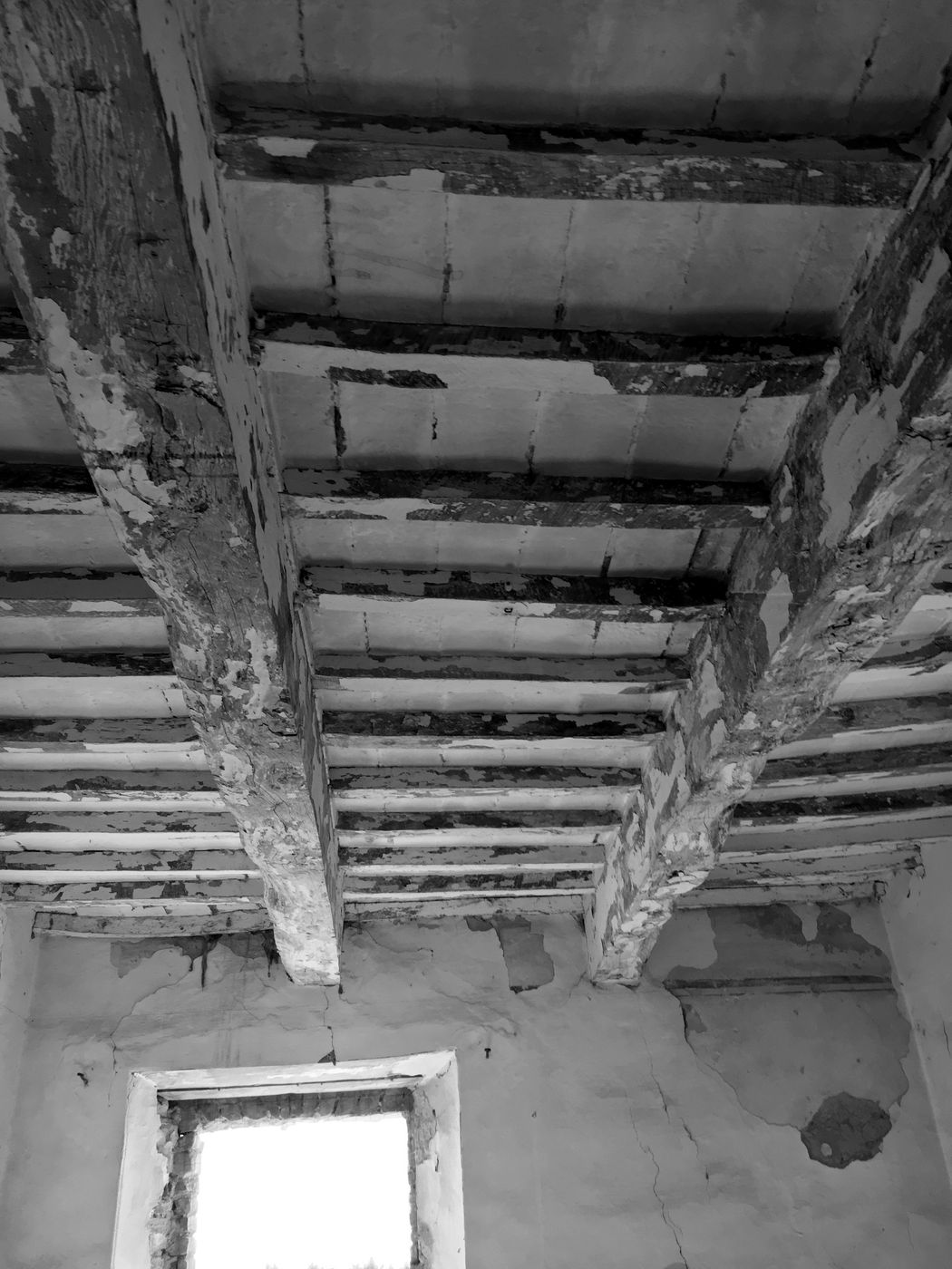 Decayed timber floor with damaged beams and joists
