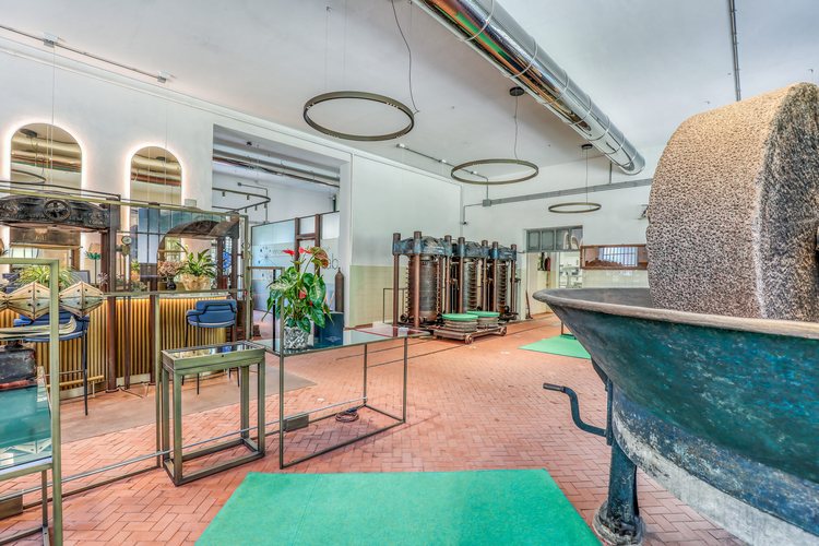 La macina in pietra e le presse restaurate accanto ai tavoli