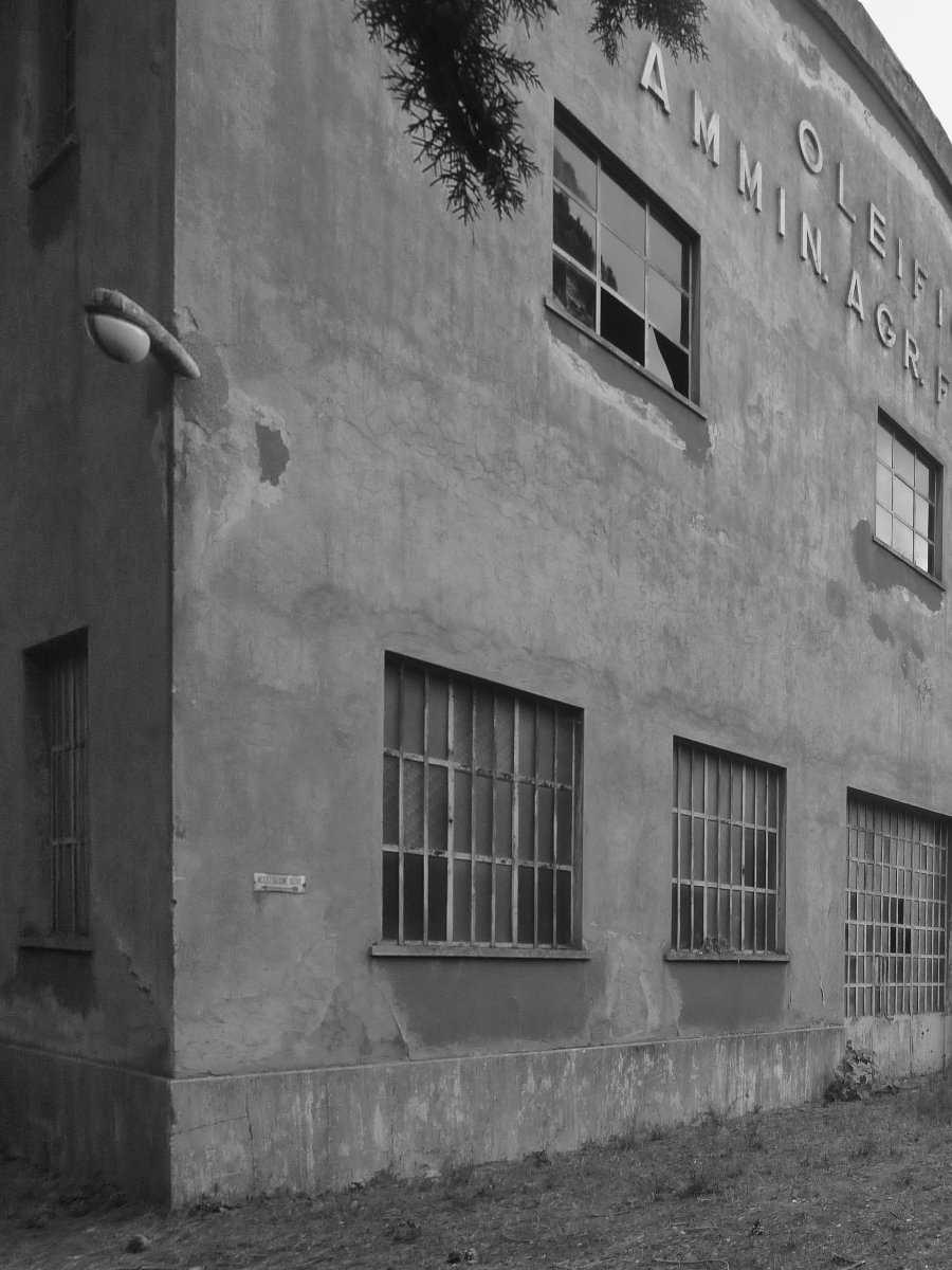 La stessa facciata prima dei lavori, con l’intonaco rovinato e la scritta «Oleificio Ammin. Agr. Furio Fè»