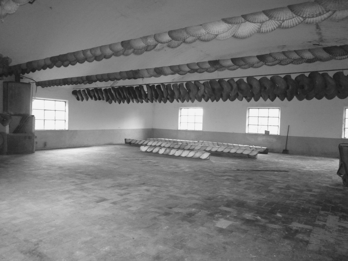 I fiscoli appesi al soffitto nella sala grande