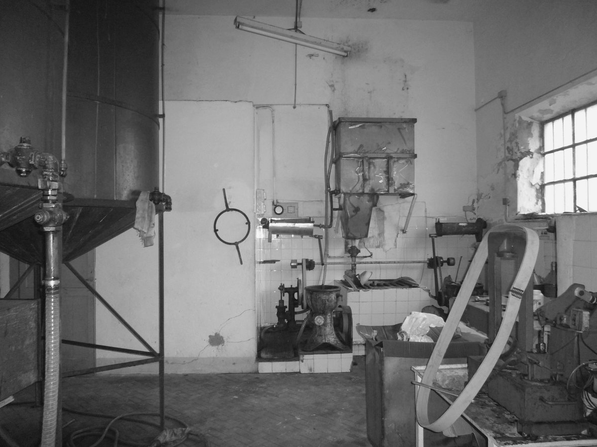 I macchinari e il silo dell’olio nella sala di lavorazione