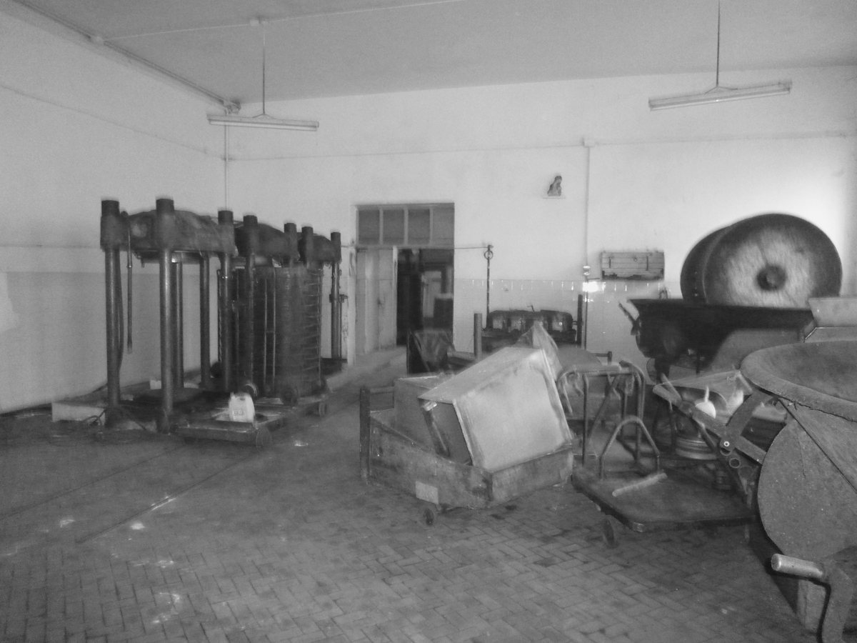 Le vecchie presse e la macina all’interno dell’oleificio