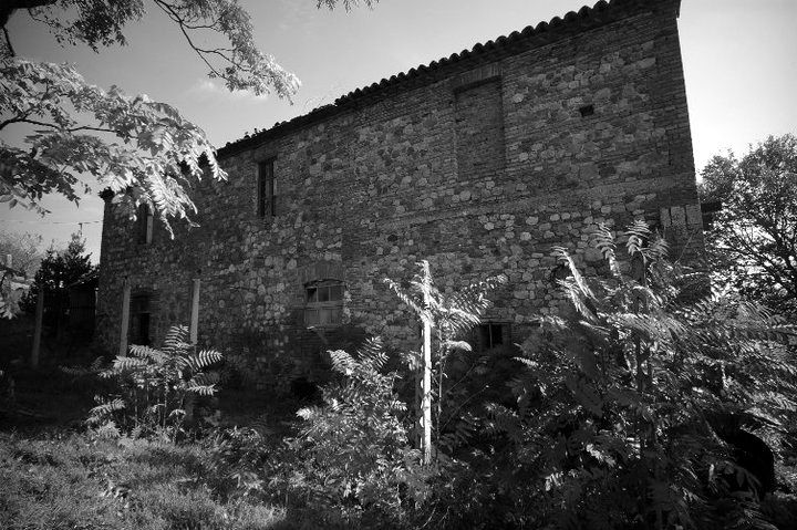 La facciata in pietra del casolare prima dei lavori, nascosta dalla vegetazione